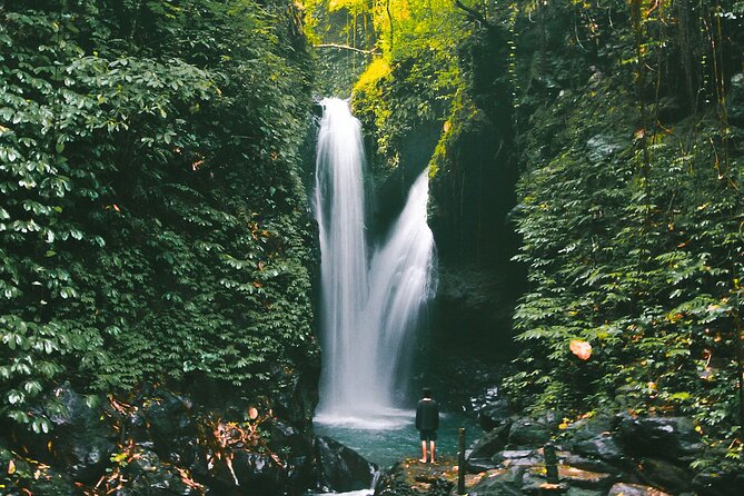 Bali : Private Fullday trip, Discover North Bali Destination - Temples, hot springs, markets, and coffee