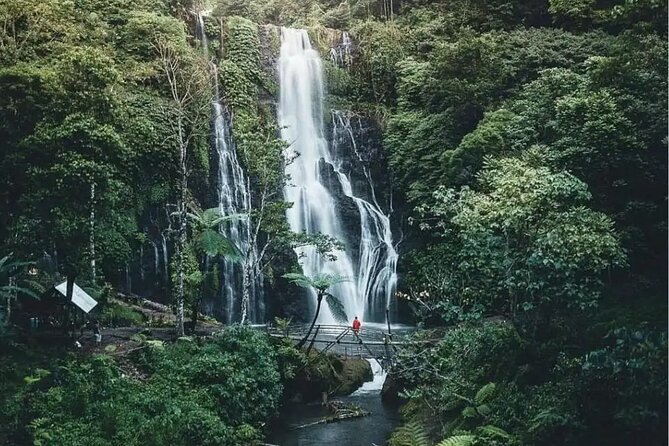 Bali Private Tour: Handara Iconic Gate, Watefall and Temple - Lunch, water, and what the price covers