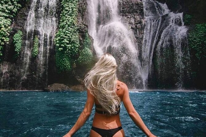 Bali Private Tour: Handara Iconic Gate, Watefall and Temple - Handara Iconic Gate and the price of a famous photo