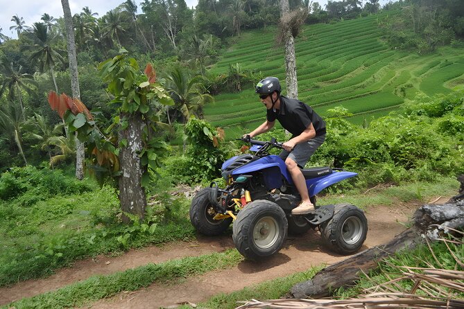 Bali Quad Bike : Best ATV Ride Adventures - Is the $35 price good value?