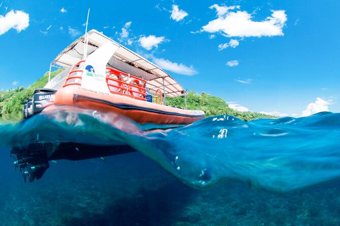 Bali Reef Cruise and Lembongan Island Day Trip - Snorkeling expectations around Lembongan Bay