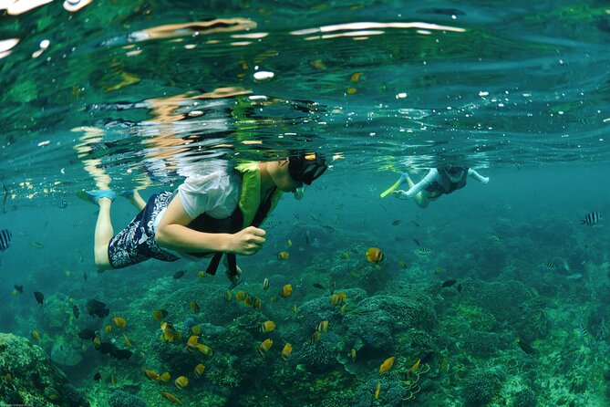 Bali Reef Cruise and Lembongan Island Day Trip - Food, service, and onboard comfort