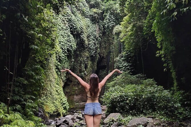 Bali Sekumpul with Fiji Waterfall & Bedugul Temple (Private Tour) - The real cost and what is included