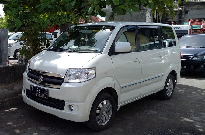 Bali Sightseeing Car Hire with English-speaking Guide and Driver - Building a Ubud day around culture and scenery
