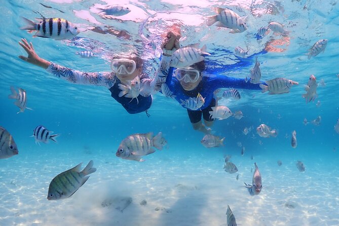 Bali Snorkeling Blue Lagoon with lunch &Optional waterfall Visit - Two snorkeling stops make Blue Lagoon the heart of the day