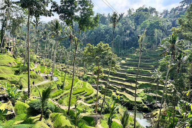Bali Spiritual: Balinese Healing, Temple & Rice Terrace - Is $60 a fair price?