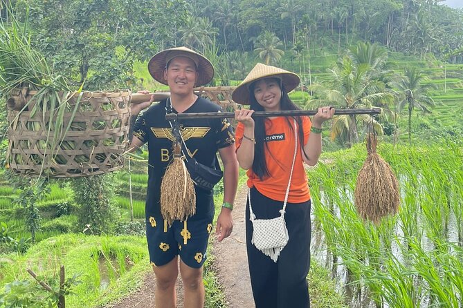 Bali Swing Hot Spring And Waterfall Private Guided Tour - Mt. Batur and the Kintamani highlands