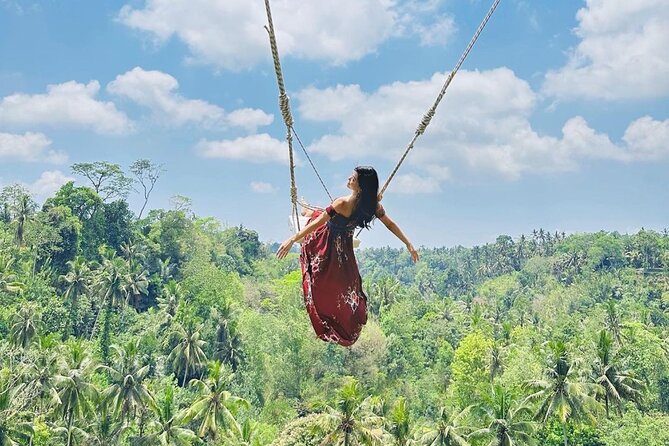Bali Swing, Monkey Forest and Waterfall Private Tour - Key points at a glance