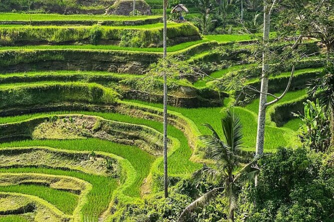Bali Swing, Monkey Forest and Waterfall Private Tour - Kanto Lampo Waterfall and its tiered rocks