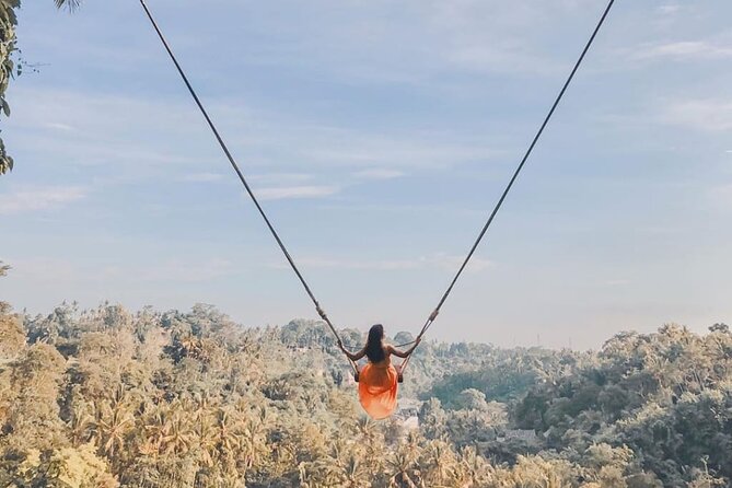 Bali Swing, Monkey Forest and Waterfall Private Tour - Sacred Monkey Forest, temples, and a little caution