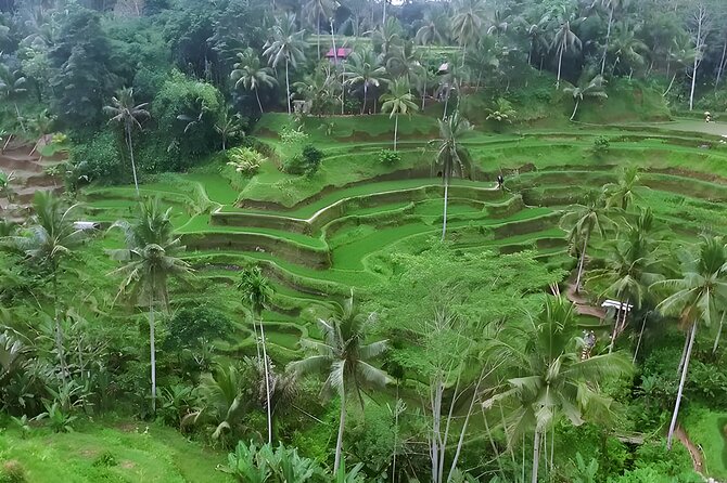 Bali Tour-Packages 2 Days: Best Bali Short Trip - A big Bali sampler from Seminyak