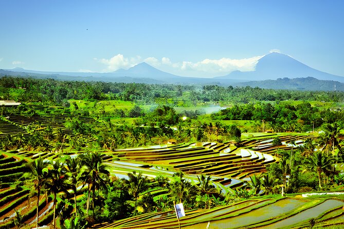 Bali Tour: The Best Way to Explore The Highlight of Bali - What the private vehicle adds