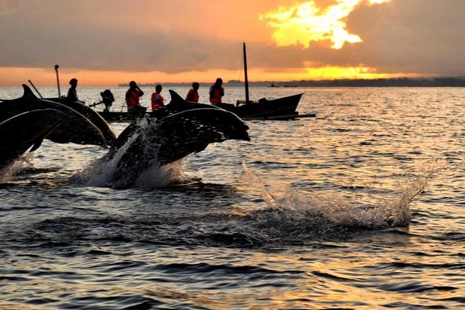 Bali Watching Dolphin at Lovina Beach & aling aling waterfall - Key points to know before booking