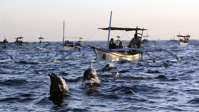 Bali Watching Dolphin at Lovina Beach & aling aling waterfall - The practical cost of the dolphin outing