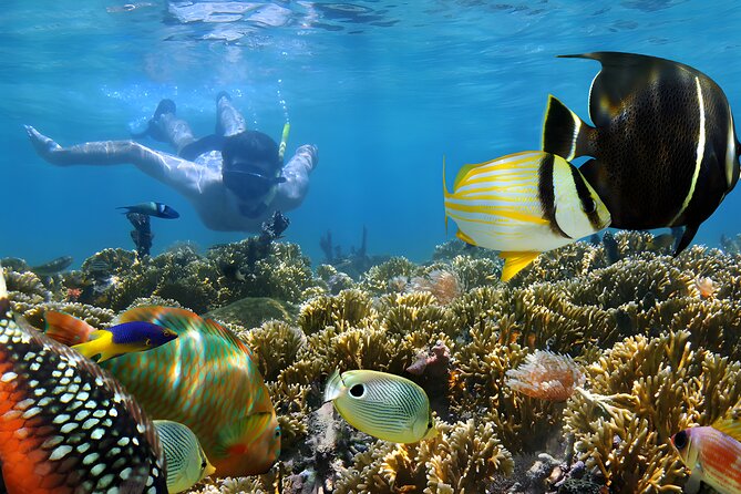 Bali Water Sport Jumbo Packages - The human side: drivers and staff