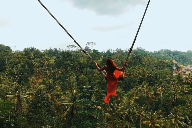 Bali White Water Rafting with Sacred Monkey Forest and Swing - The private car makes the long day easier
