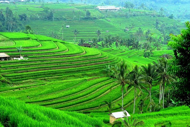 Beratan , lake side temple tour , all inclusive - Taman Ayun Temple and the royal setting