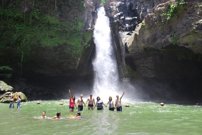 Best Bali Private Customize Tour - Real Bali Swing: pay only if the activity appeals to you