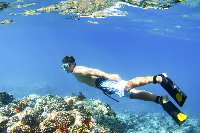 Best Bali Snorkeling at Blue Lagoon Beach: All-Inclusive - The service and food matter more than they sound