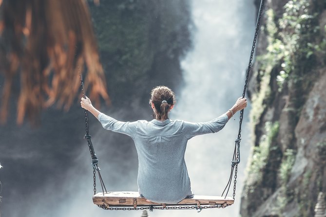 Best of Bali : Bali Temples , Rice Terrace and Waterfall Tour - Tegalalang Rice Terrace and the price of the view