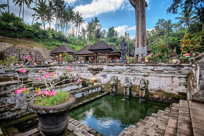 Best of Bali : Bali Temples , Rice Terrace and Waterfall Tour - Why the private car matters in Bali