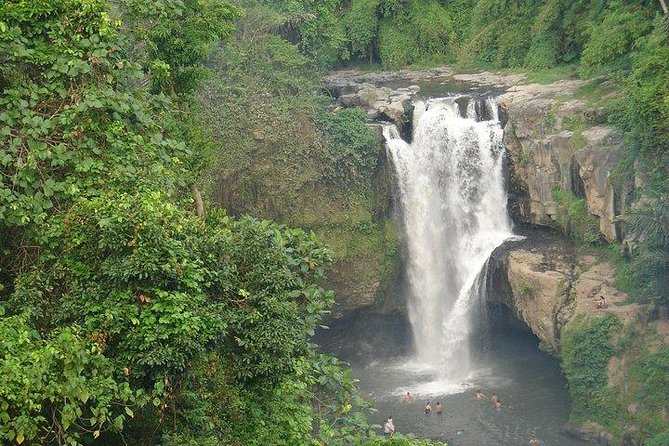 Best of Bali Jungle Swing with Ubud Sightseeing Tour - Tirta Empul and Bali’s holy spring water