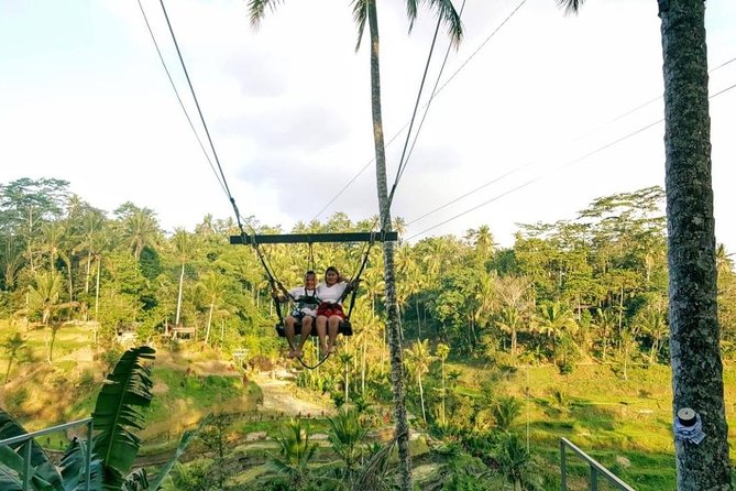 Best of Bali Jungle Swing with Ubud Sightseeing Tour - Campuhan Ridge Walk and a gentler change of pace