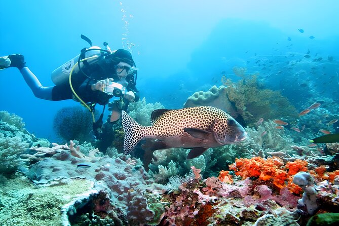 Best of Bali Water Sport Jumbo Packages - Why the private transfer can be worth the price