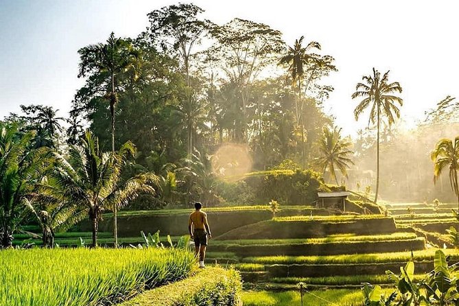 Best of Ubud - Full day Tour + FREE WI-FI - Key points to know before booking