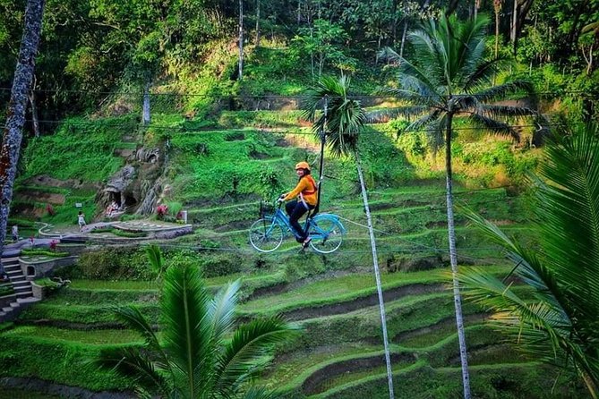 Best of Ubud - Full day Tour + FREE WI-FI - What the private vehicle adds to the day