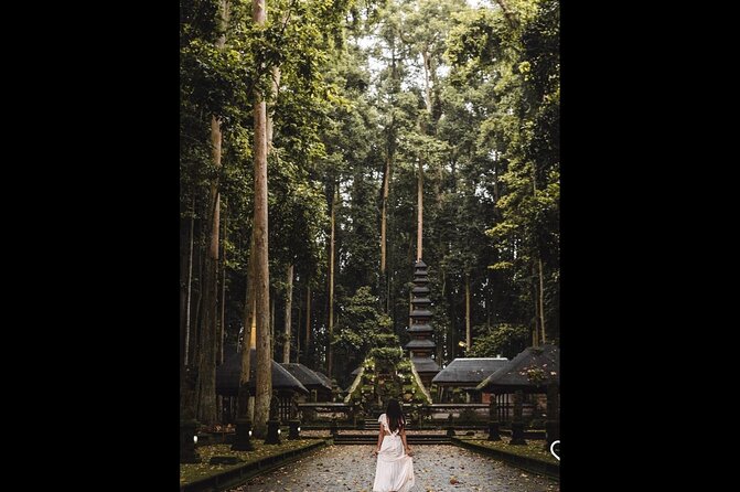 Best of Ubud: Jungle, Temples & Swing - Tegalalang explains more than rice-field views