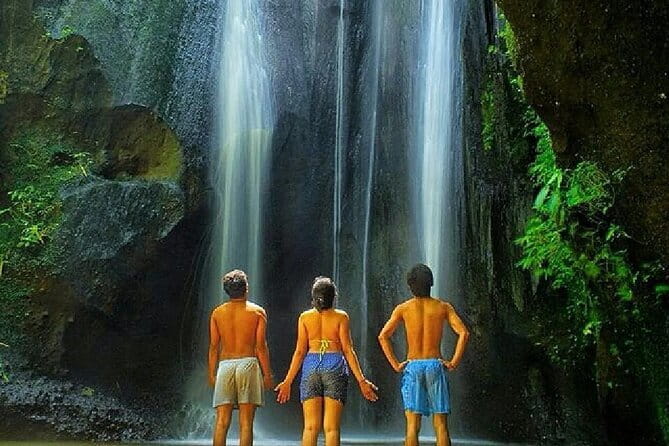 Best Of Ubud Scenic Full Day Private Guided Tour - Bali Swing as an optional photo stop