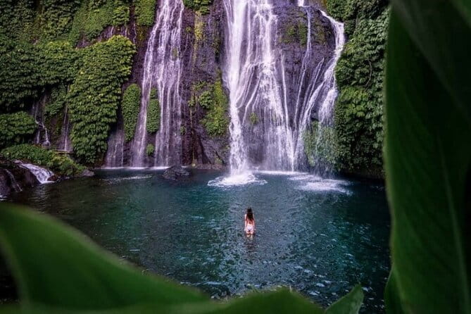 Best Of Ubud Scenic Full Day Private Guided Tour - Tegalalang Rice Terrace and the best open views