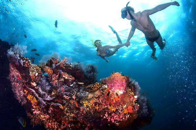 Best Snorkeling Activity in Blue Lagoon Beach Bali - Why Blue Lagoon works well for first-time snorkelers