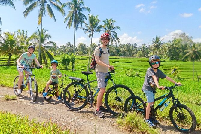 Bike ride in the rice fields, Bali countryside - Key points at a glance