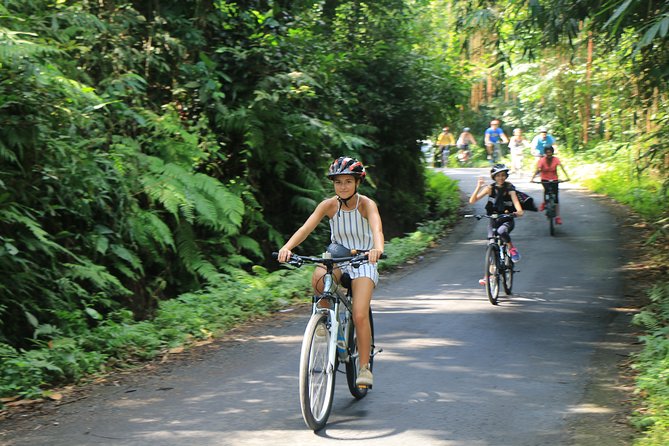 Bike ride in the rice fields, Bali countryside - Pedaling through rice fields and village lanes