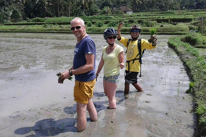 Bike ride in the rice fields, Bali countryside - Lunch beside a river and rice fields