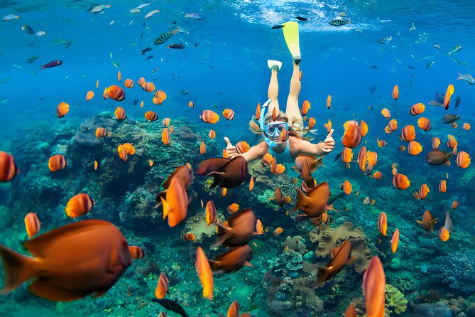 Blue Lagoon Snorkeling and Uluwatu Sunset Tour - The Kecak and Fire Dance supplies the evening drama