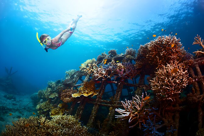 Blue Lagoon Snorkeling and Uluwatu Sunset Tour - Lunch gives you a break before the southern beaches