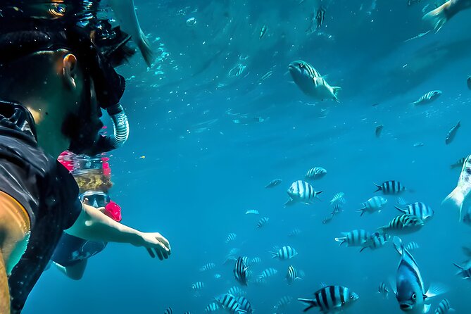 Blue Lagoon Snorkeling - Bali Best Snorkeling Site - Key points to know before booking