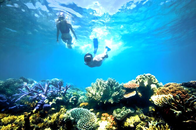 Blue Lagoon Snorkeling - Bali Best Snorkeling Site - What the guides and drivers add