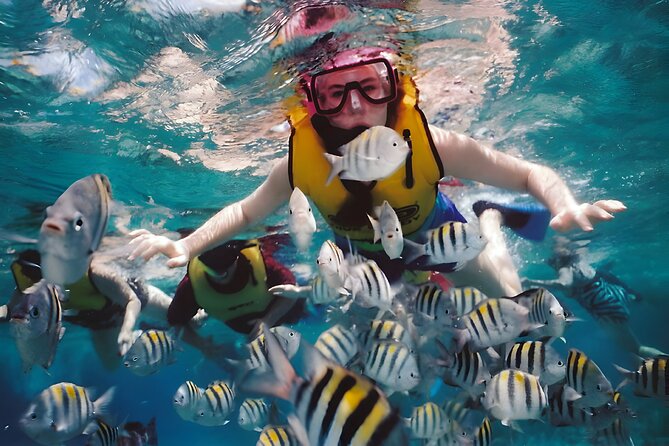Blue Lagoon Snorkeling - Bali Best Snorkeling Site - Who should book this experience?