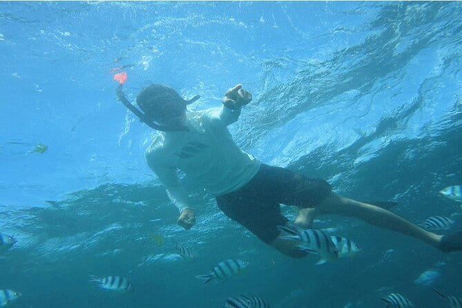 Blue Lagoon Snorkeling with Lunch and Private Transport - Blue Lagoon gives you more than one water stop