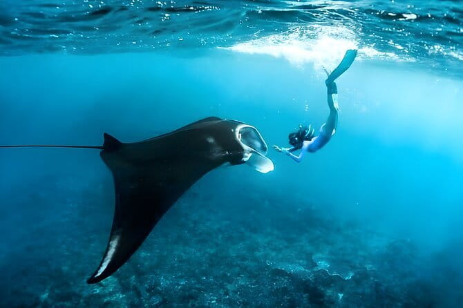 Blue Lagoon Snorkeling with Lunch and Private Transport - Private transport makes the day easier
