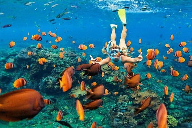 Blue Lagoon Snorkeling with Lunch and Private Transport - Lunch adds value, but check the details
