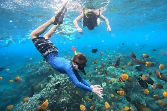 Blue Lagoon Snorkeling with Lunch and Waterfall in Ubud - A full day that mixes sea, jungle, and coffee