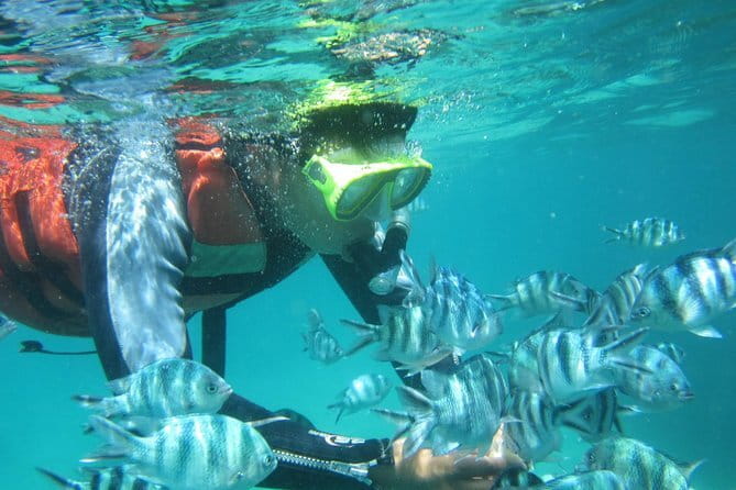 Blue Lagoon Snorkeling with Lunch and Waterfall in Ubud - Who will enjoy this outing most?