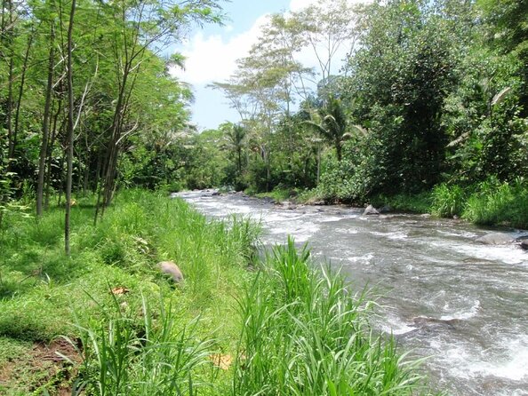 BMW Bali Rafting + Flying Fox at Telaga Waja River (LESS STAIRS) - Why Telaga Waja makes a strong rafting day