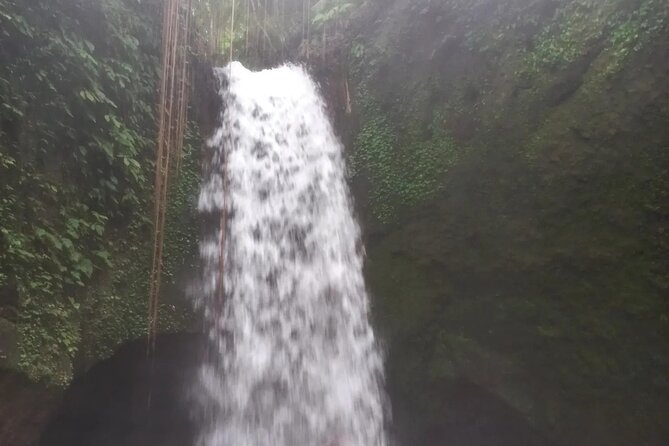 CRETYA Ubud infinity Pool + Hidden Water fall + Water Temple Tour - The guides are a major part of the experience