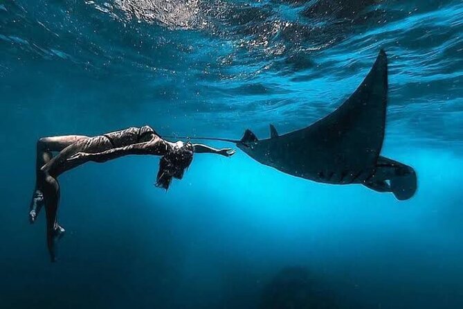 Day Trip: Nusa Penida Snorkling - Key points to know before booking